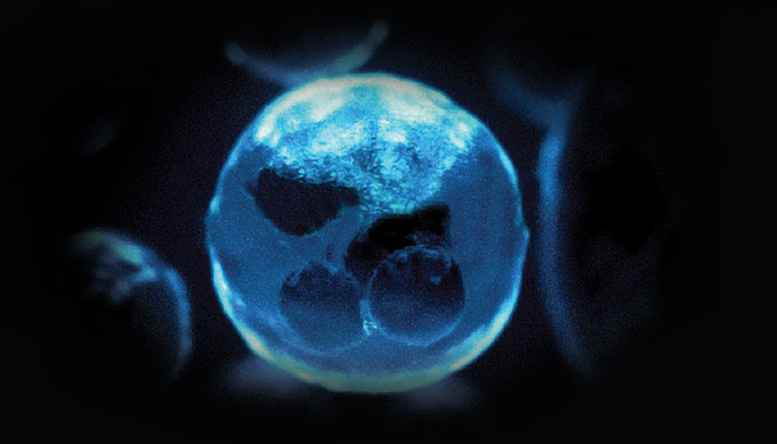 Ebiose: AI for all and by all